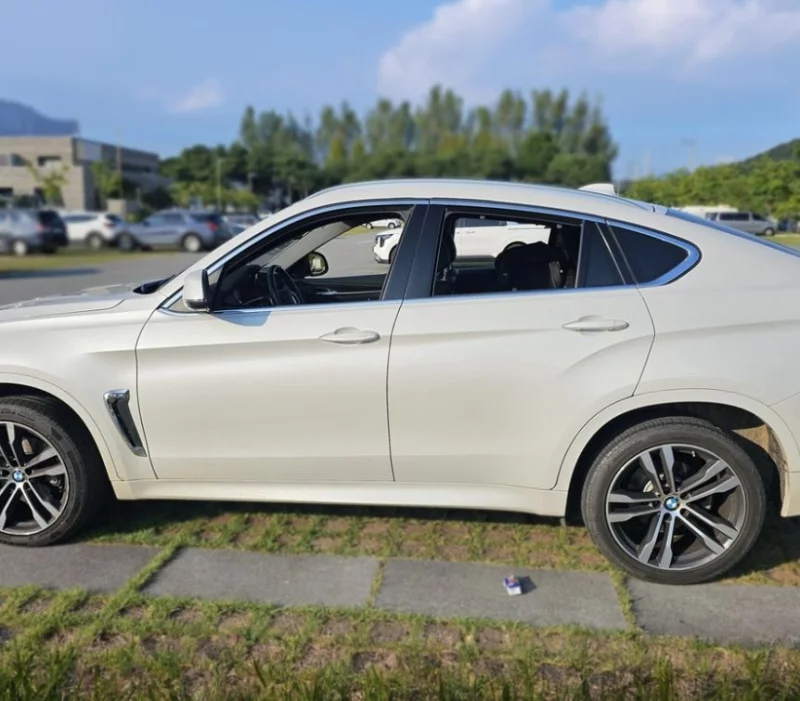 BMW X6
