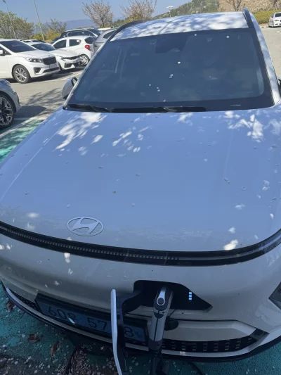 Hyundai Kona Electric