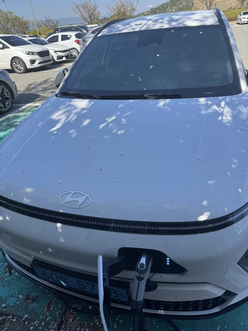Hyundai Kona Electric