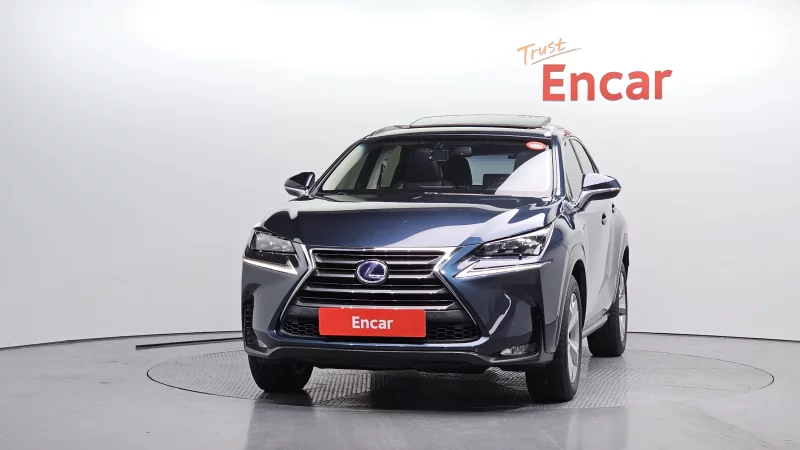 Lexus NX300h