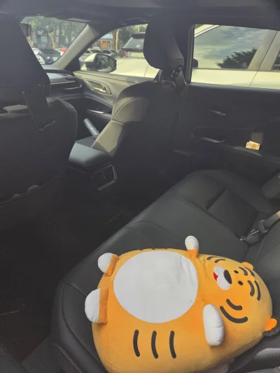 catalog-car-5