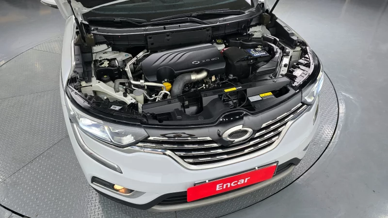 Renault QM6