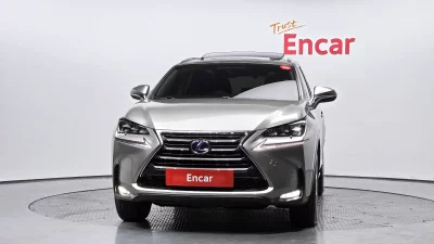Lexus NX300h