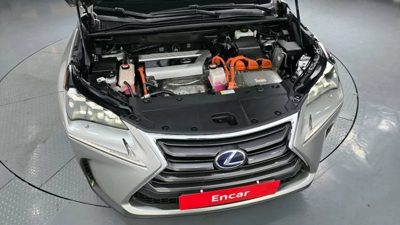 Lexus NX300h