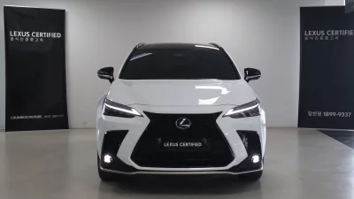 Lexus NX450h+