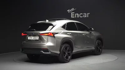 Lexus NX300h