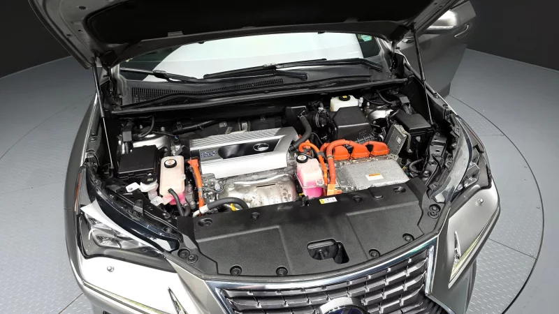 Lexus NX300h