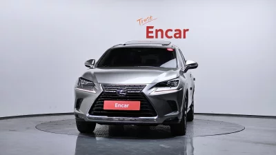 Lexus NX300h