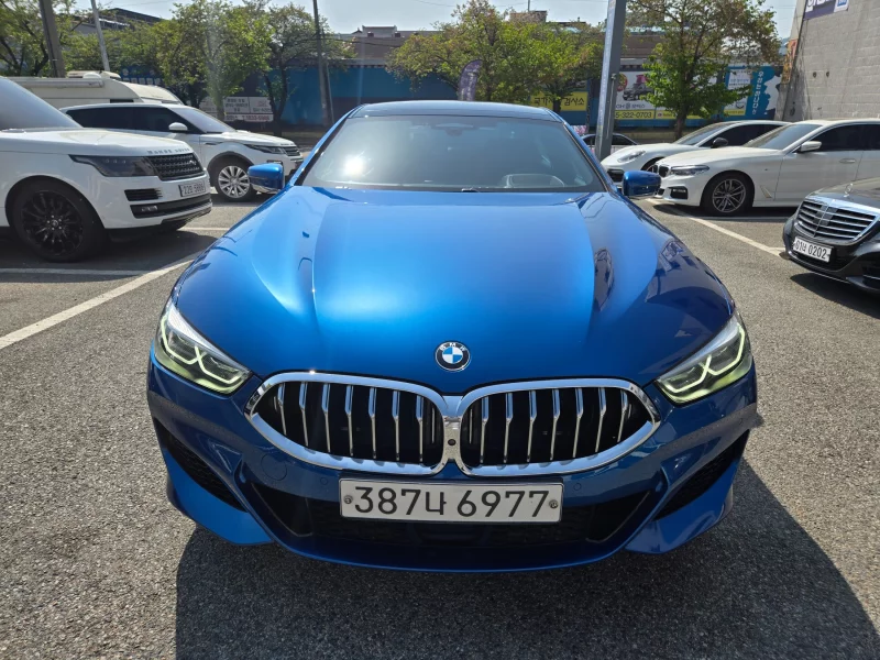 BMW 8-Series