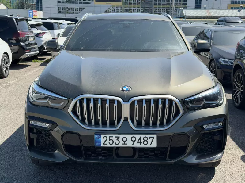 BMW X6