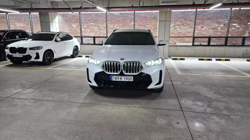 BMW X6
