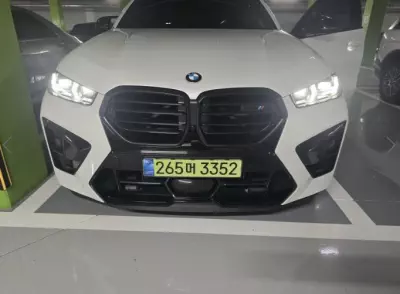 BMW X6 M