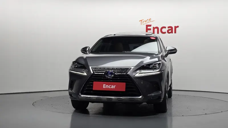 Lexus NX300h