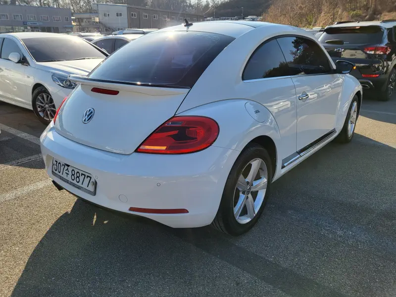 Volkswagen BEETLE