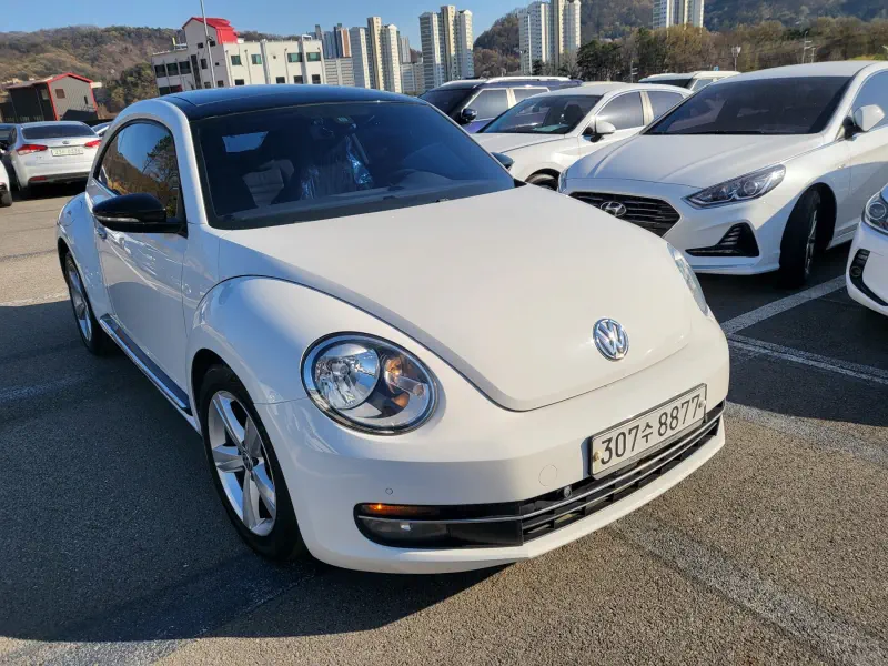 Volkswagen BEETLE
