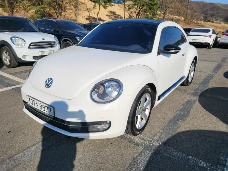 Volkswagen BEETLE