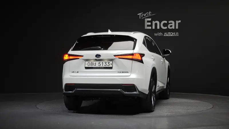 Lexus NX300h