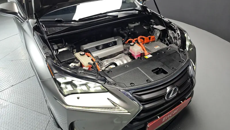 Lexus NX300h
