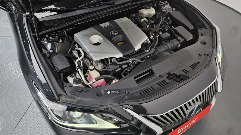 Lexus ES300h
