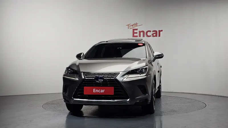 Lexus NX300h
