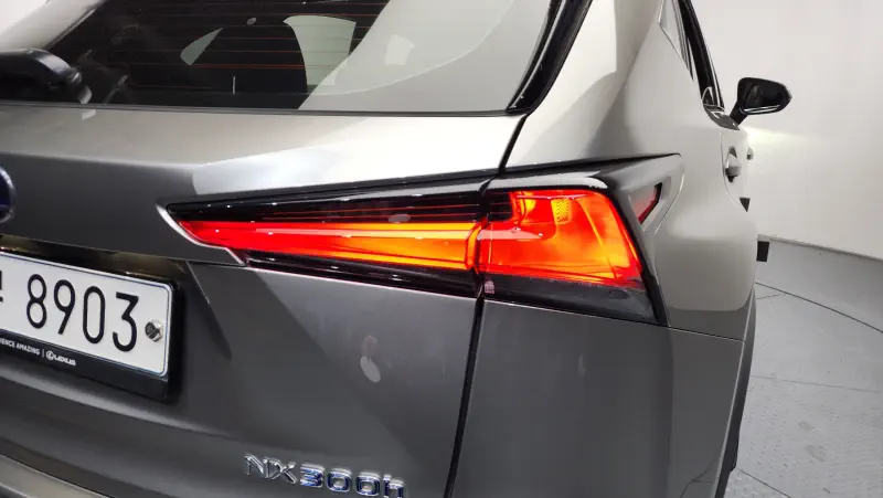 Lexus NX300h