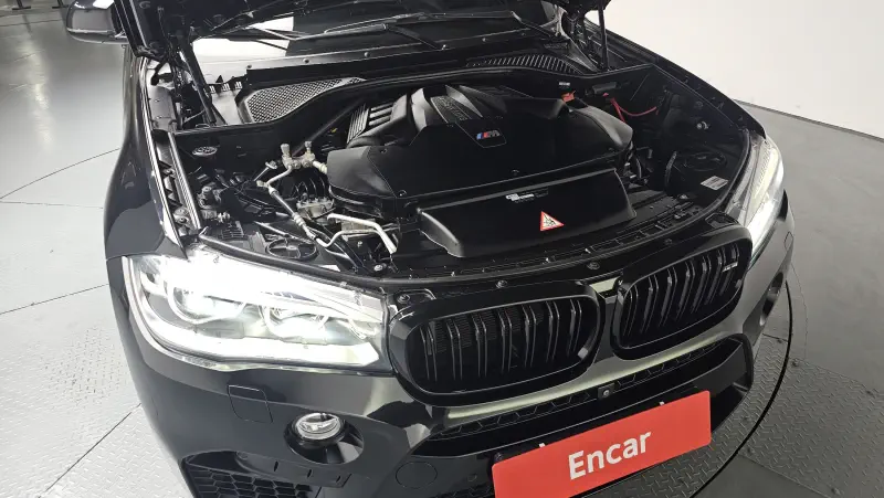 BMW X6M