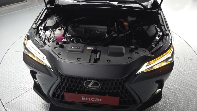 Lexus NX350h