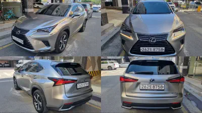 Lexus NX300h