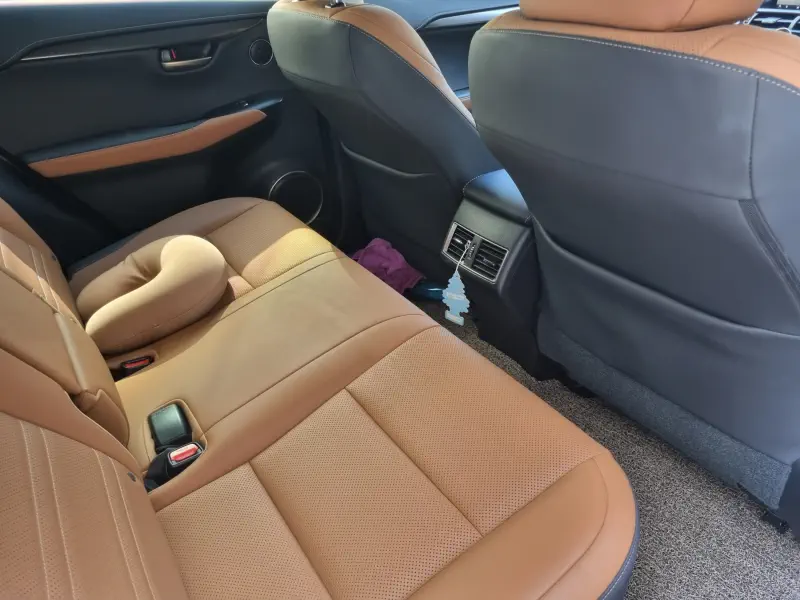 Lexus NX300h