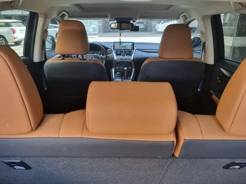 Lexus NX300h