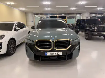 BMW XM