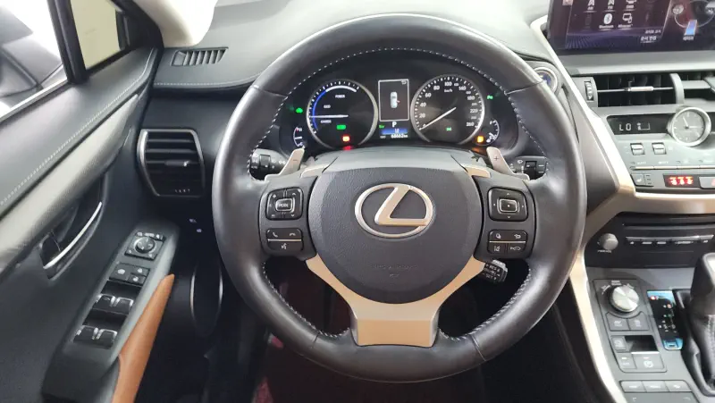 Lexus NX300h