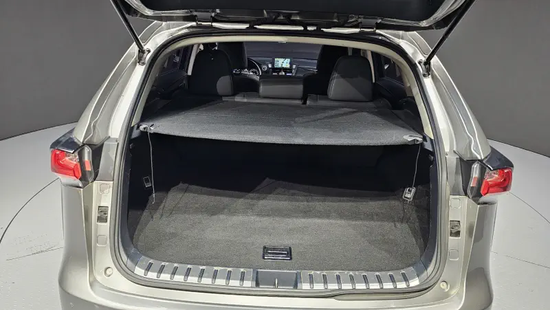 Lexus NX300h