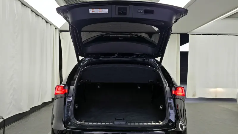 Lexus NX300