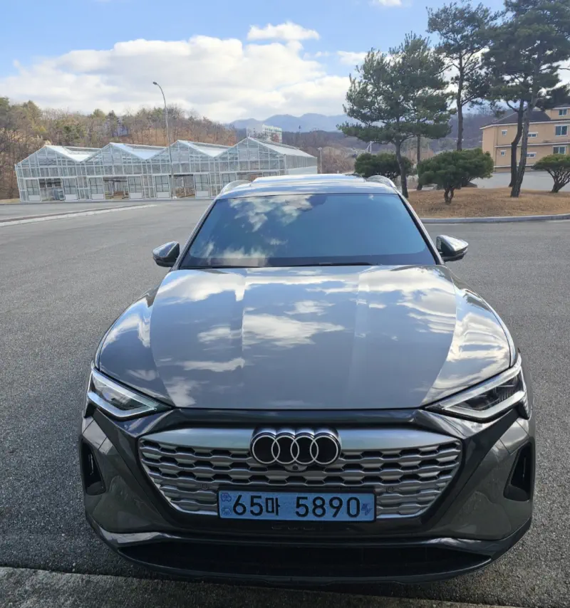 Audi Q8 e-tron