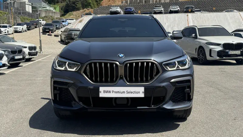 BMW X6