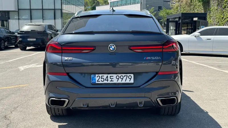 BMW X6
