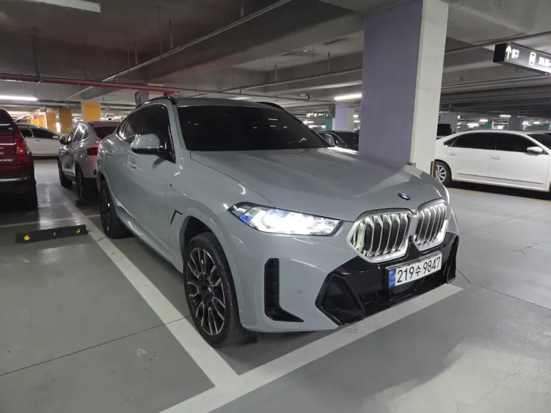 BMW X6