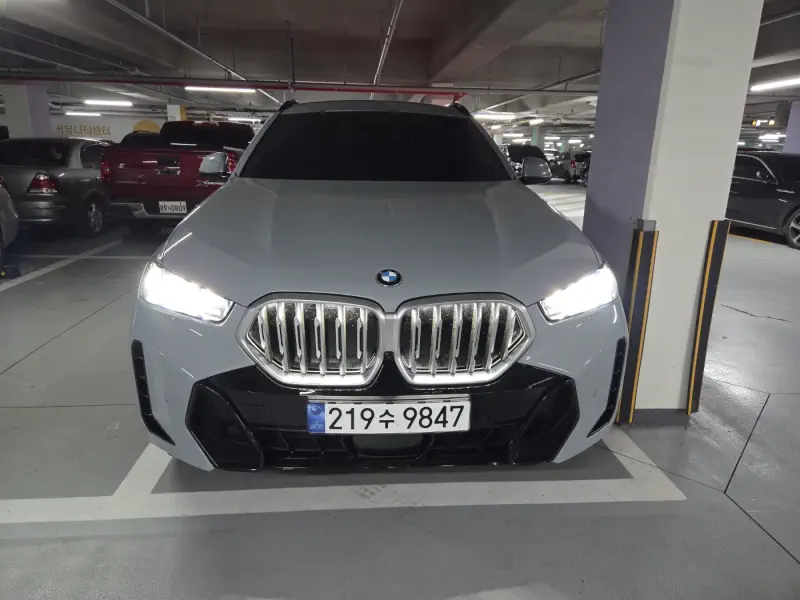 BMW X6