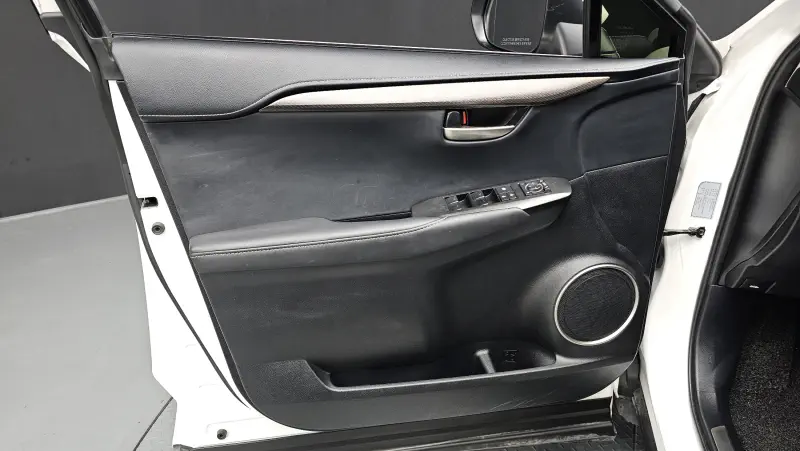 Lexus NX300h