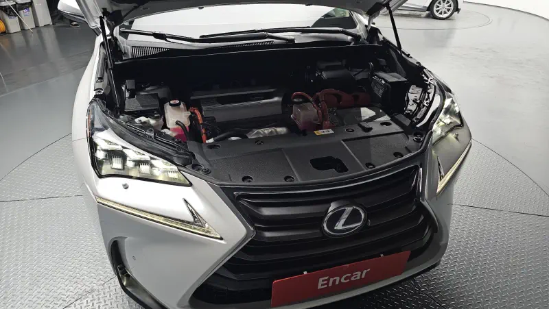 Lexus NX300h