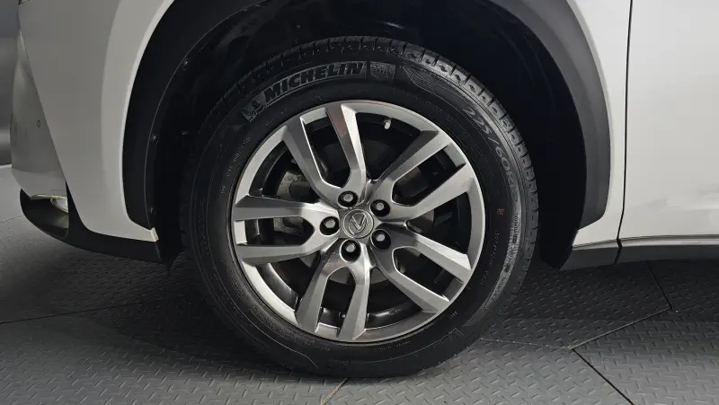 Lexus NX300h