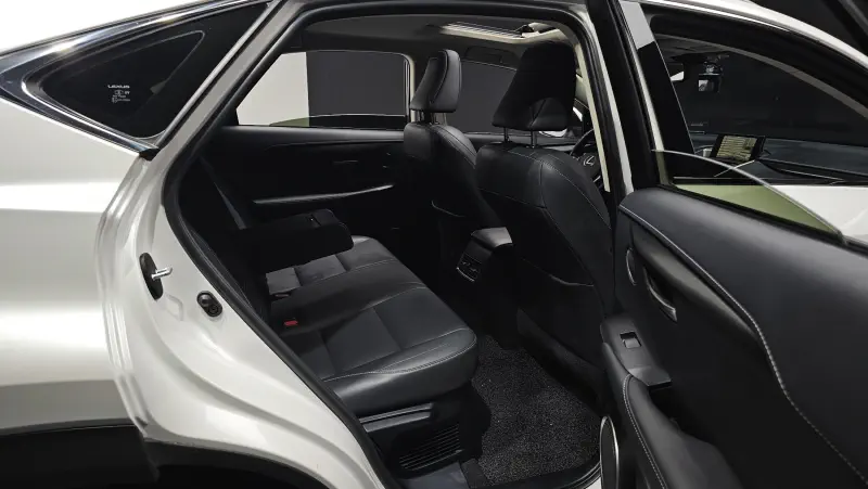 Lexus NX300h