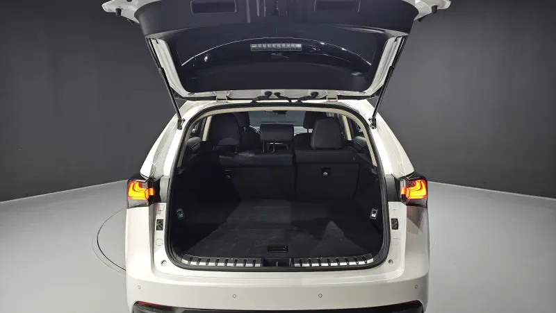 Lexus NX300h
