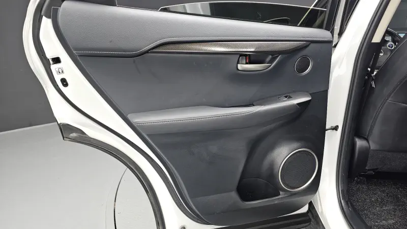 Lexus NX300h