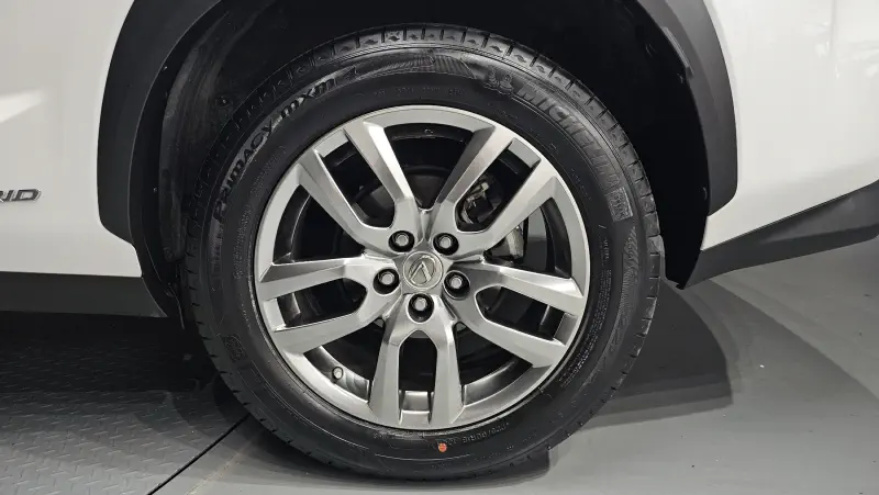 Lexus NX300h