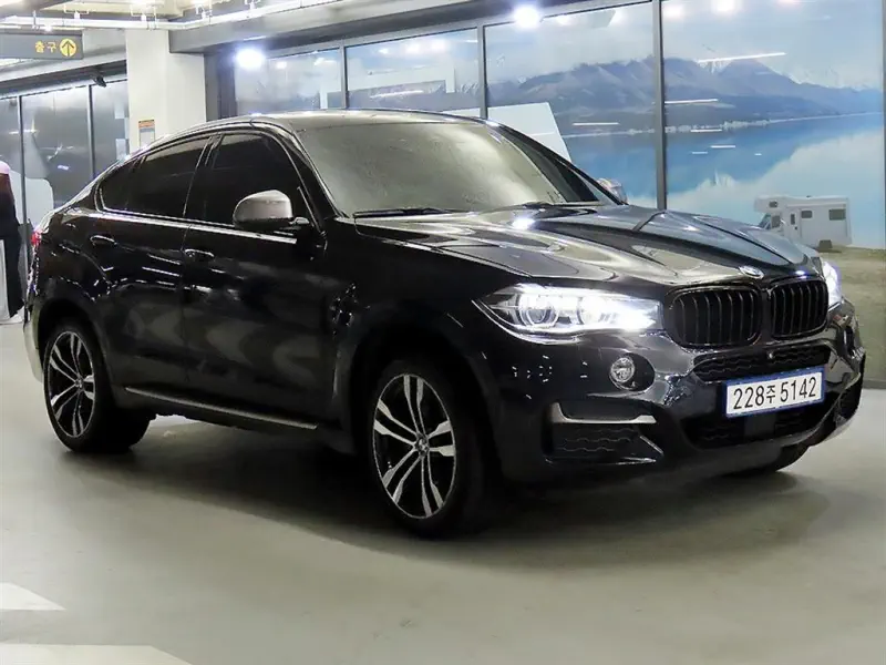 BMW X6