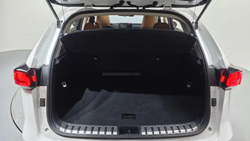 Lexus NX300h