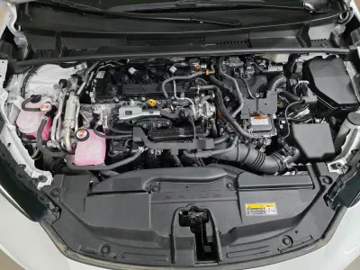 catalog-car-6