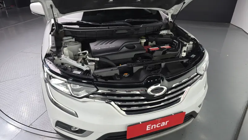 Renault QM6